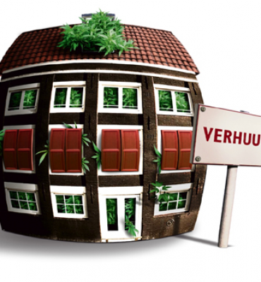 Hennepkwekerij aangetroffen in Wassenaar