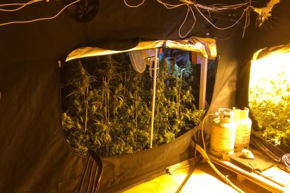 85.000 euro verstopt in stofzuiger en slapen in een wietplantage met een wapen onder je kussen. 'Growshop in Emmen hoofdkwartier in internationale hennephandel'